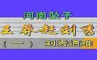 河南坠子罗衫记全本第_河南坠子罗衫记21集